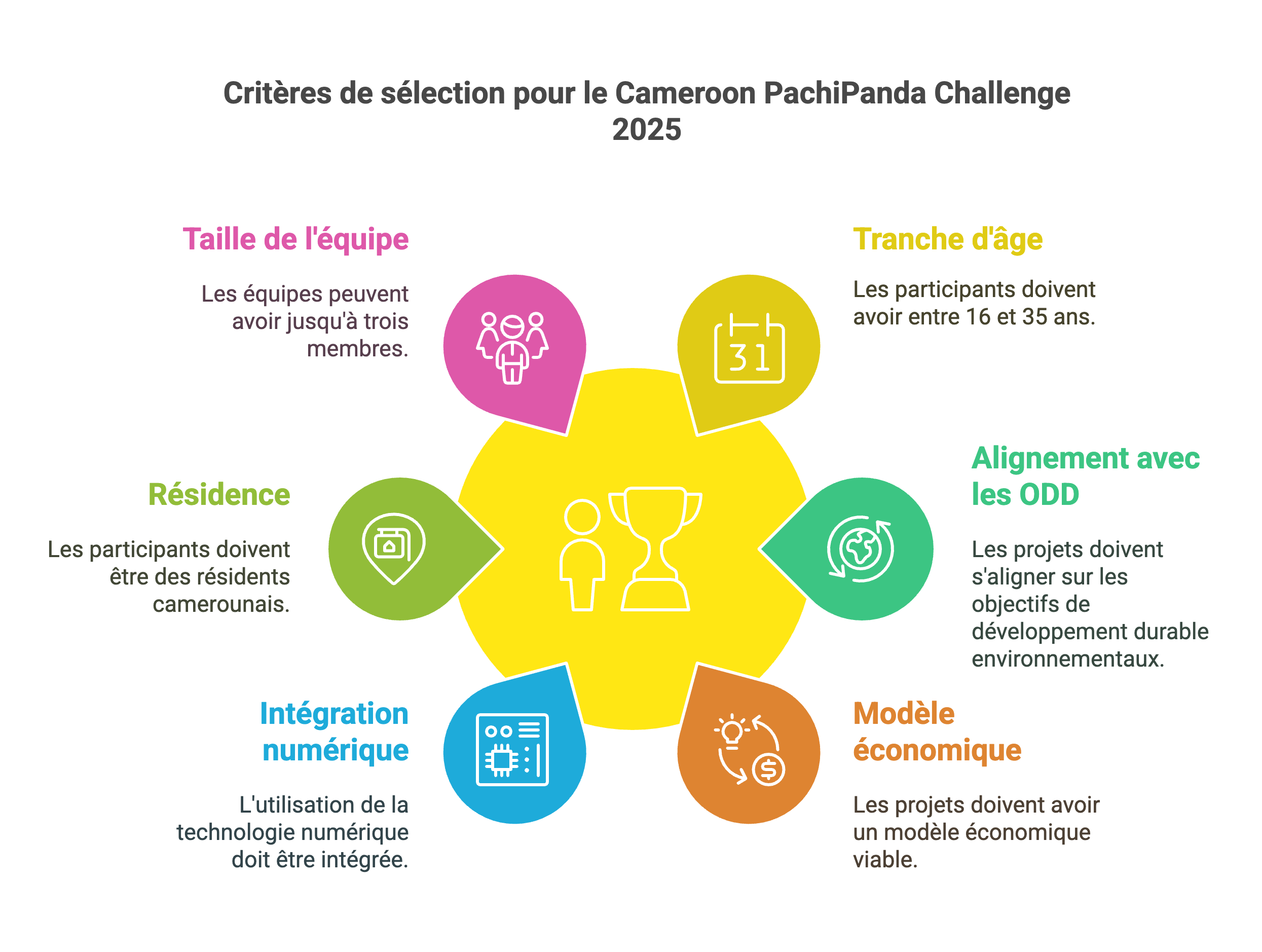 Ce que le jury recherche du Cameroon PachiPanda Challenge 2025